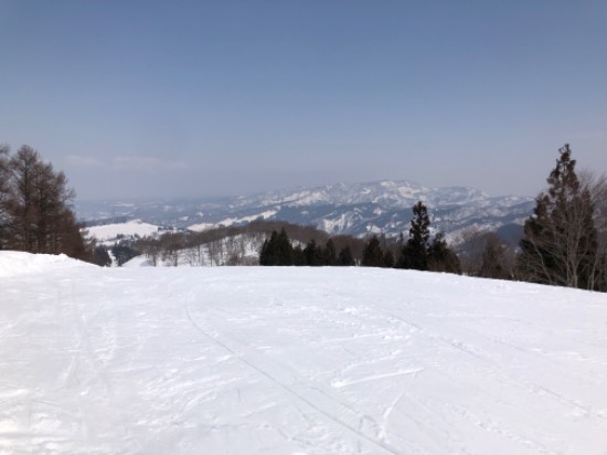 お得すぎる