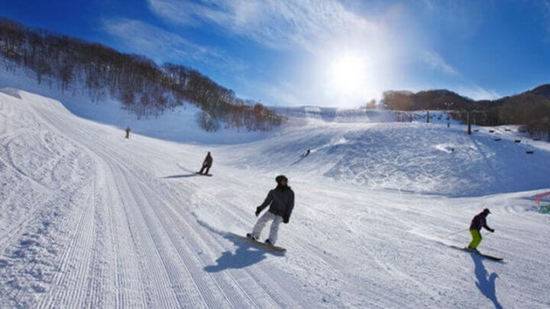 ワンダーランドかたしなレビューキャンペーン|オグナほたかスキー場のクチコミ画像