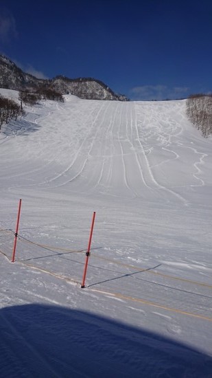 空いてるよー|氷ノ山国際スキー場のクチコミ画像
