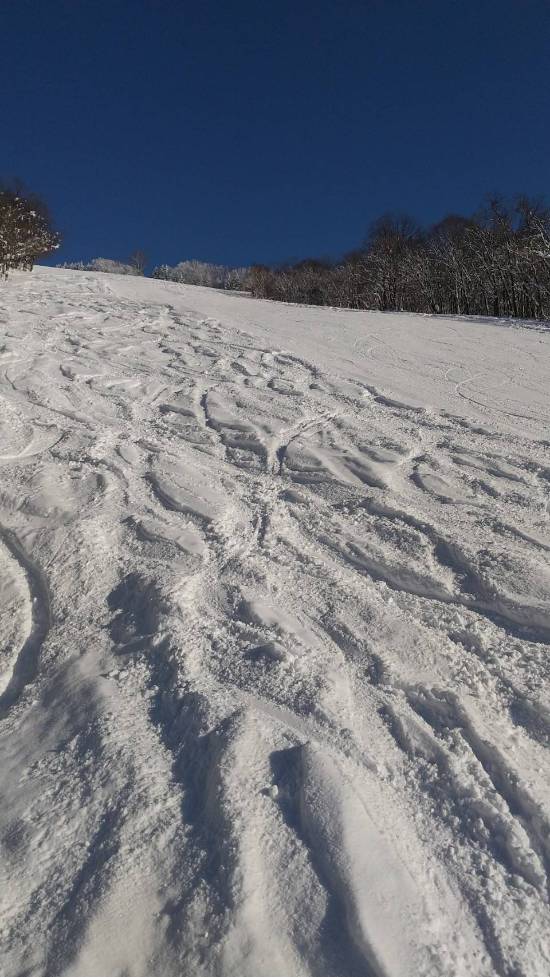雪質良かったです