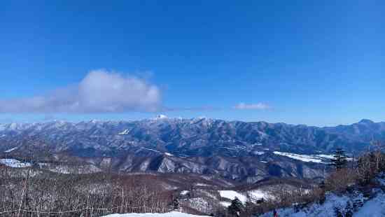 ワンダーランドかたしなレビューキャンペーン