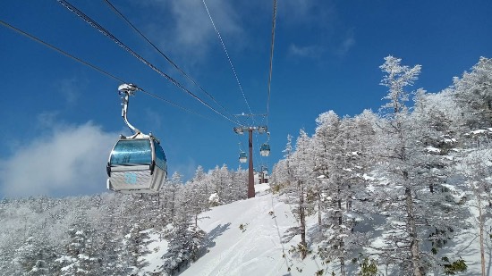 初心者もそうでない方も