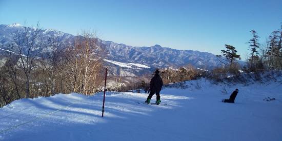 ワンダーランドかたしなレビューキャンペーン