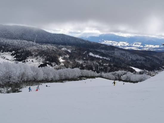 軽い雪が積もった緩急バランスのよい斜面で|万座温泉スキー場のクチコミ画像