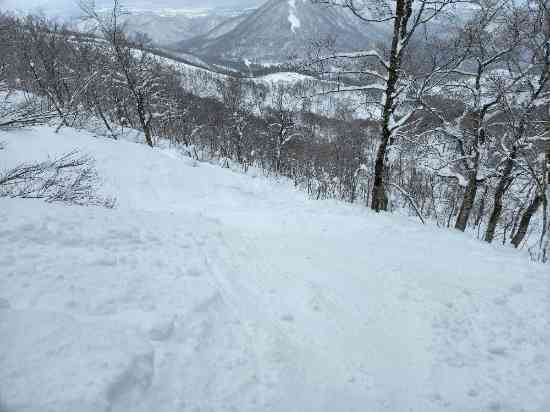雪が少なくてもちゃんとパウダー