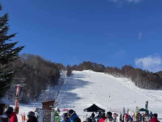ワンダーランドかたしなレビューキャンペーン!|かたしな高原スキー場のクチコミ画像