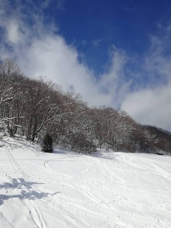 ワンダーランドかたしなレビューキャンペーン|のクチコミ画像