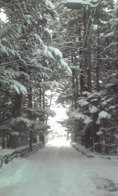 大雪の軽井沢|軽井沢プリンスホテルスキー場のクチコミ画像3