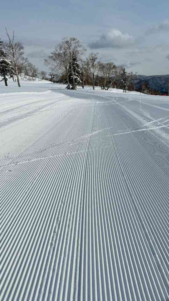 雪質、めっちゃ良い|札幌国際スキー場のクチコミ画像
