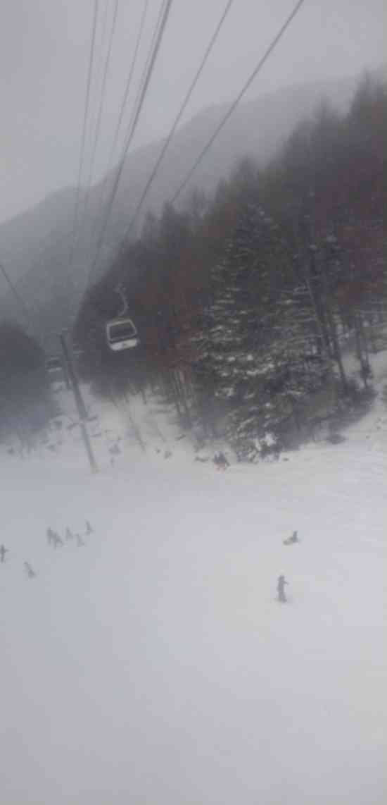 ワンダーランドかたしなレビューキャンペーン|丸沼高原スキー場のクチコミ画像