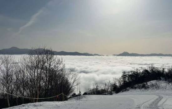 ワンダーランドかたしなレビューキャンペーン