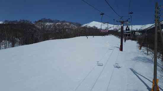 いい春スキーでした。