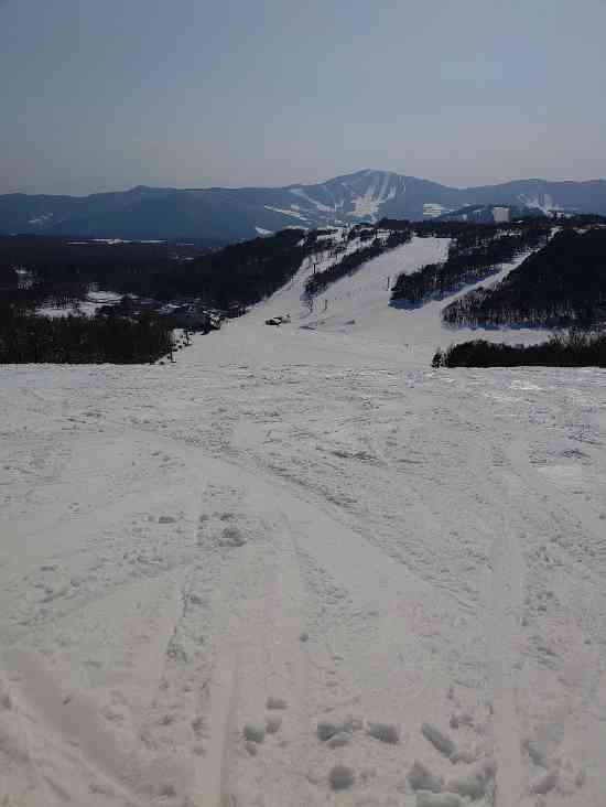 雪質