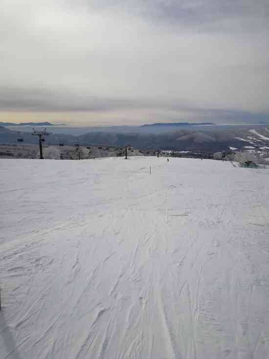 ワンダーランドかたしなレビューキャンペーン