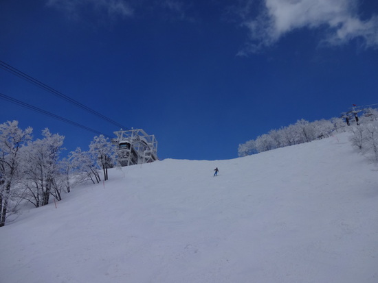 パウダー食べ放題！|六日町八海山スキー場のクチコミ画像