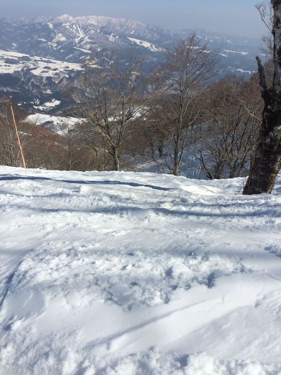 雪の量ばっちり|高鷲スノーパークのクチコミ画像