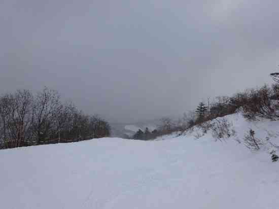雪質は良かった|オグナほたかスキー場のクチコミ画像