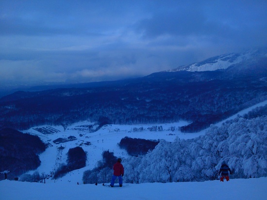 レストラン|のクチコミ画像