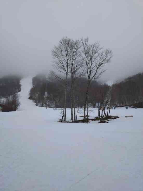 ワンダーランドかたしなレビューキャンペーン|ホワイトワールド尾瀬岩鞍のクチコミ画像2