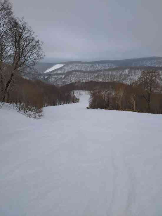 ワンダーランドかたしなレビューキャンペーン|ホワイトワールド尾瀬岩鞍のクチコミ画像3