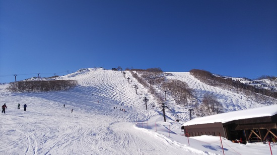 晴天|白馬八方尾根スキー場のクチコミ画像