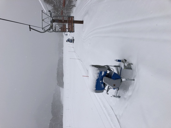親切に新雪たっぷり|爺ガ岳スキー場のクチコミ画像