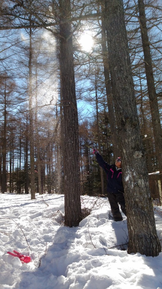 スキーより雪遊び|湯の丸スキー場のクチコミ画像2