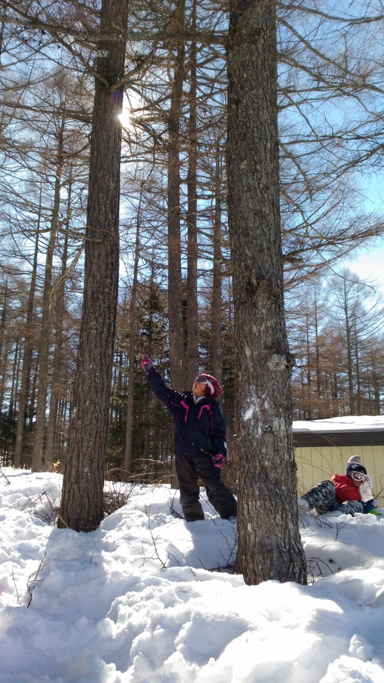 スキーより雪遊び|湯の丸スキー場のクチコミ画像3