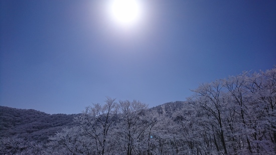 快晴の猫魔ー☆|のクチコミ画像