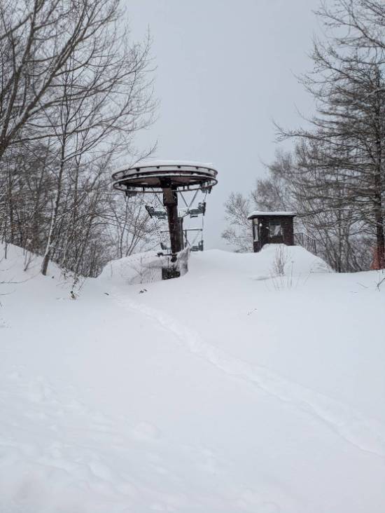 ワンダーランドかたしなレビューキャンペーン|スノーパーク尾瀬戸倉のクチコミ画像