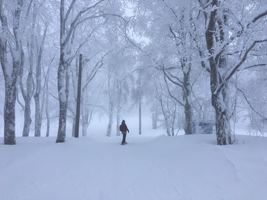 豊富な雪！温泉！|蔵王温泉スキー場のクチコミ画像