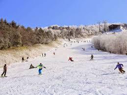 家族で楽しめます！！|ハンターマウンテン塩原のクチコミ画像3