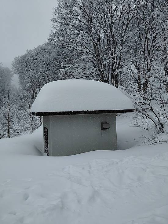 プチパウダー|野沢温泉スキー場のクチコミ画像
