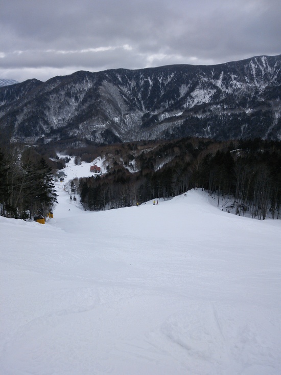 いろいろな斜面が待っている|のクチコミ画像