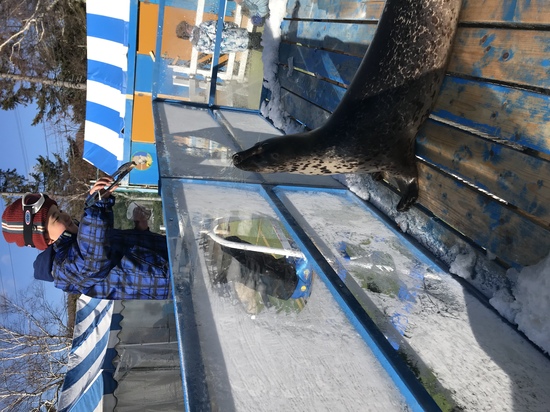 まさかアザラシ！|池の平スノーパークのクチコミ画像