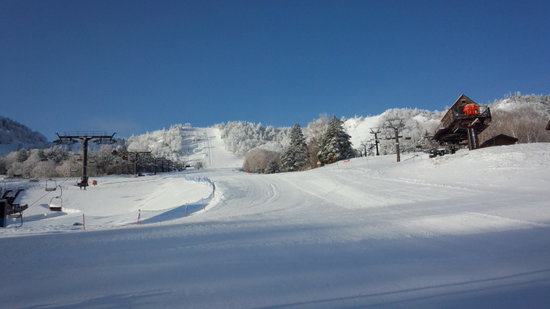 見た目はハイシーズン？！|のクチコミ画像