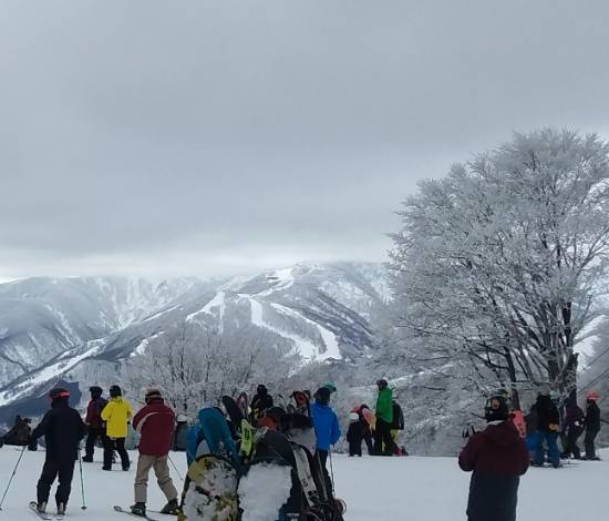 麓まで滑走できました|のクチコミ画像
