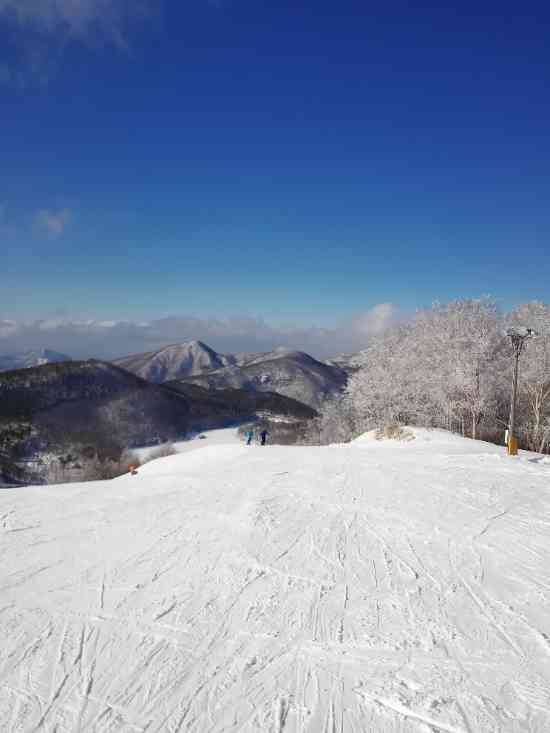 ワンダーランドかたしなレビューキャンペーン