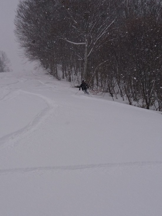 まさかの新雪|会津高原だいくらスキー場のクチコミ画像