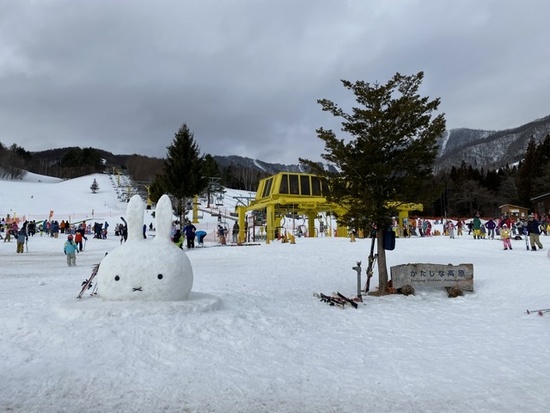 じゃがいも畑|かたしな高原スキー場のクチコミ画像