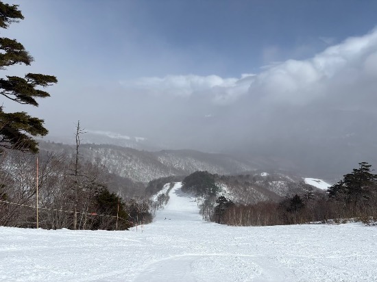 ワンダーランドかたしなレビューキャンペーン|オグナほたかスキー場のクチコミ画像2