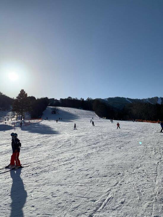 ワンダーランドかたしなレビューキャンペーン|のクチコミ画像