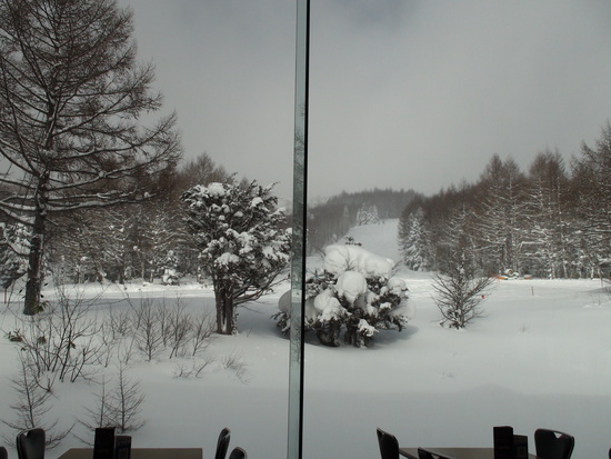 やっぱり雪質大事|志賀高原 焼額山スキー場のクチコミ画像