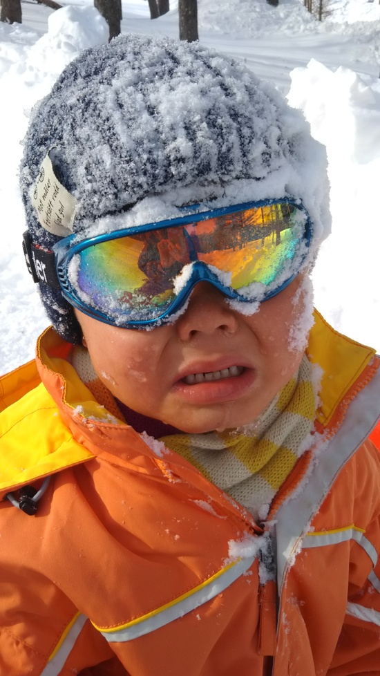 初雪|スノーウェーブパーク白鳥高原のクチコミ画像