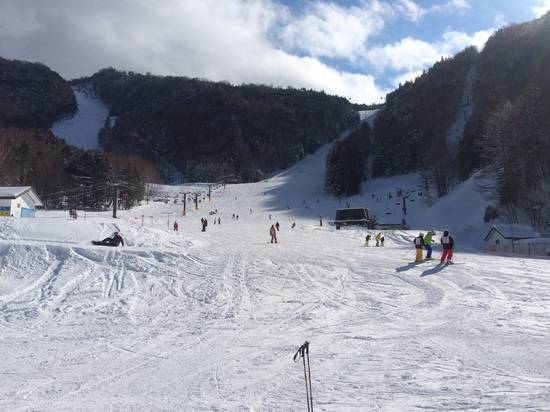 ワンダーランドかたしなレビューキャンペーン|のクチコミ画像