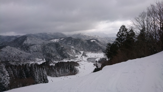 前夜の大雪のおかげ|ちくさ高原スキー場のクチコミ画像