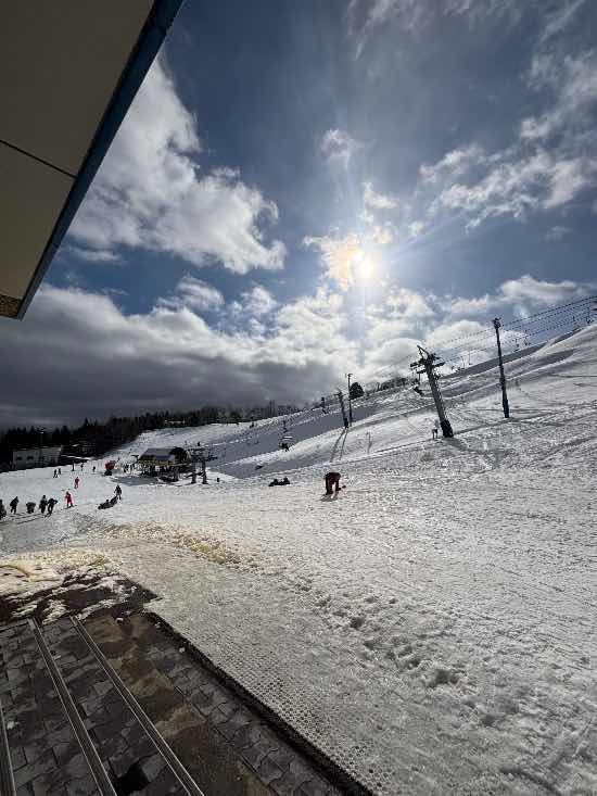 ダイナランドのフォトギャラリー1