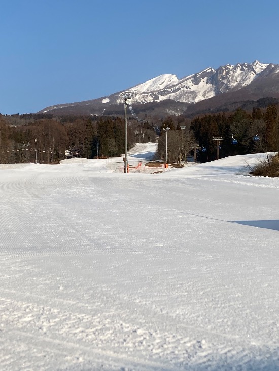 ラスト前日の杉|のクチコミ画像