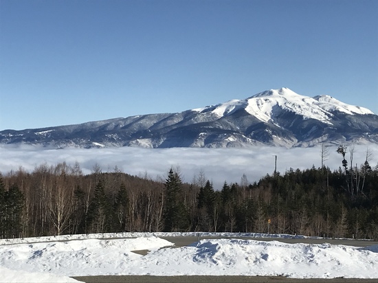 朝の気持ち良さ|のクチコミ画像