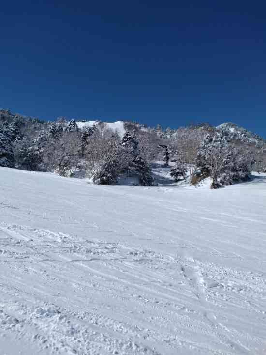 ワンダーランドかたしなレビューキャンペーン|丸沼高原スキー場のクチコミ画像